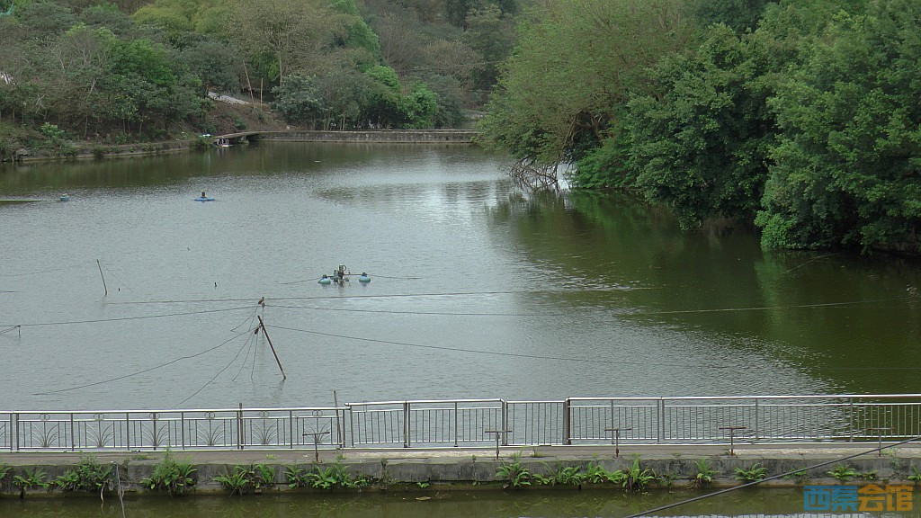 conew_s1570968.jpg