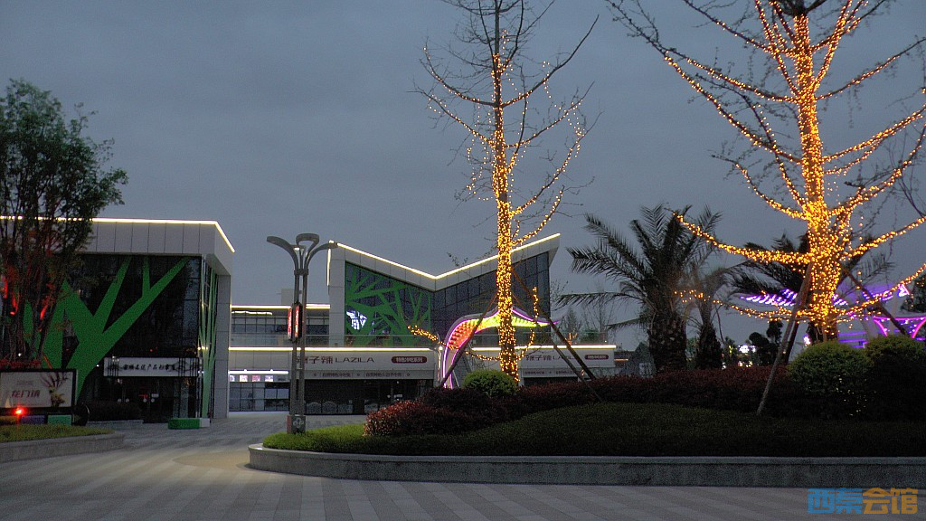 conew_s1570978.jpg
