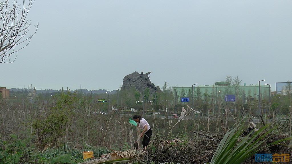 conew_s1570970.jpg