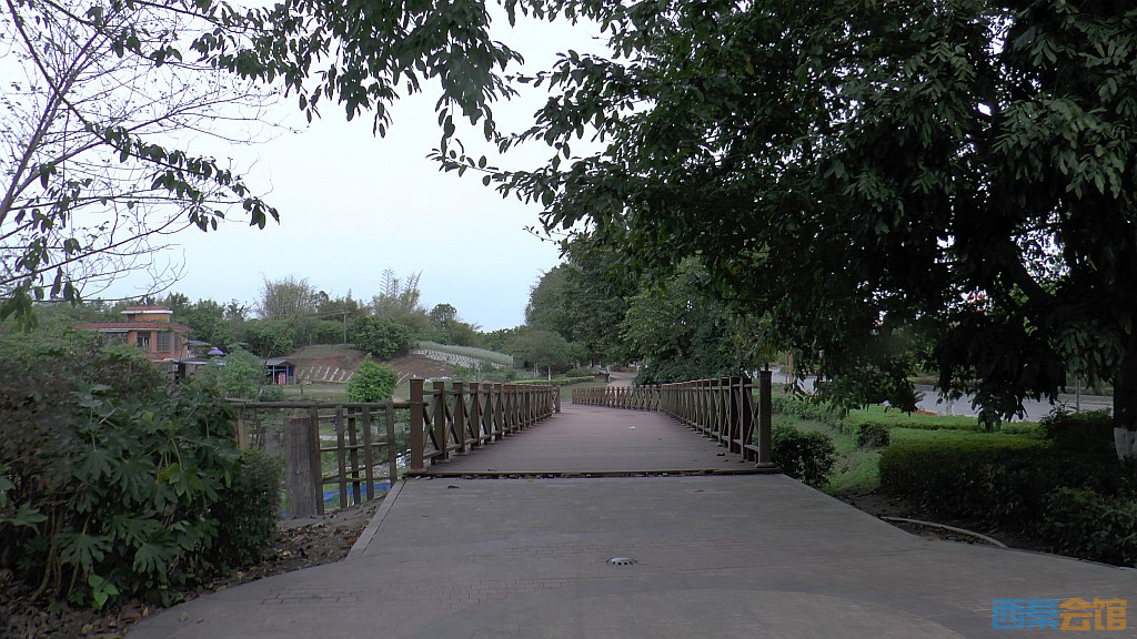 conew_s1570966.jpg