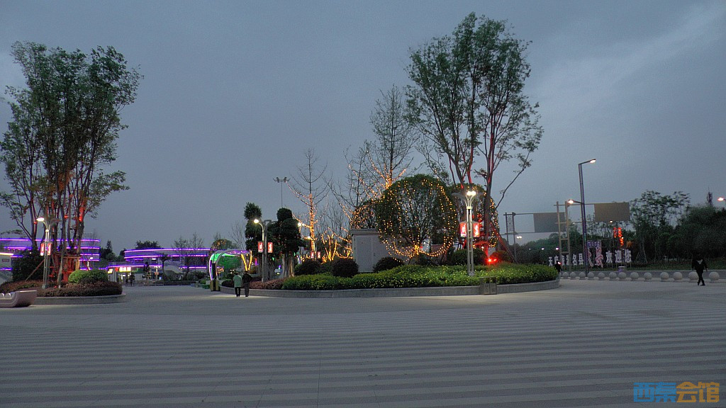 conew_s1570977.jpg