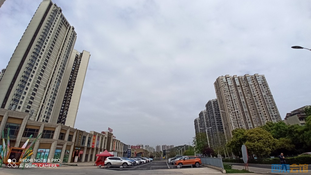 conew_1680754067497.jpg