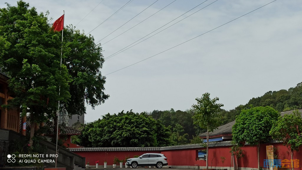 conew_1680754066544.jpg