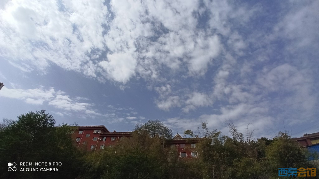 conew_1680754066719.jpg