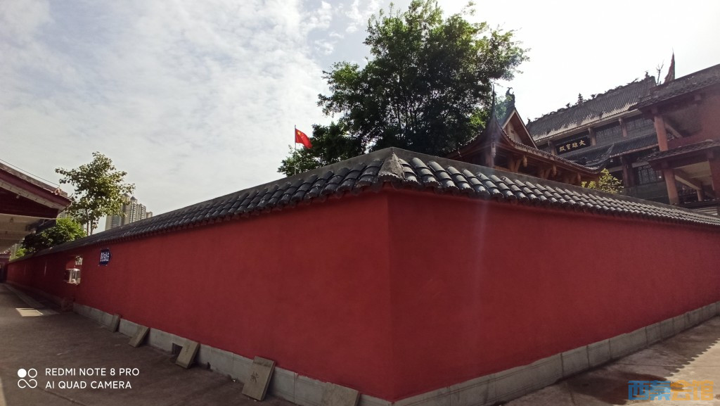 conew_1680754066222.jpg