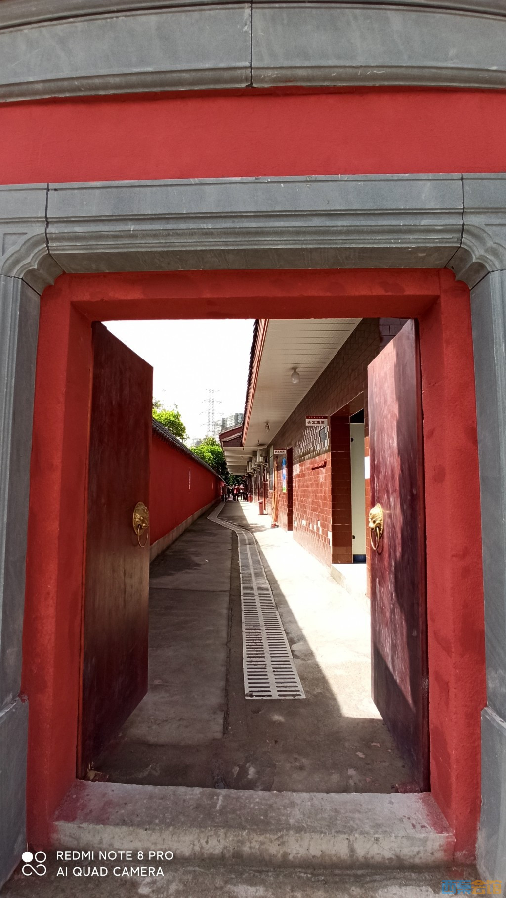 conew_1680754065768.jpg