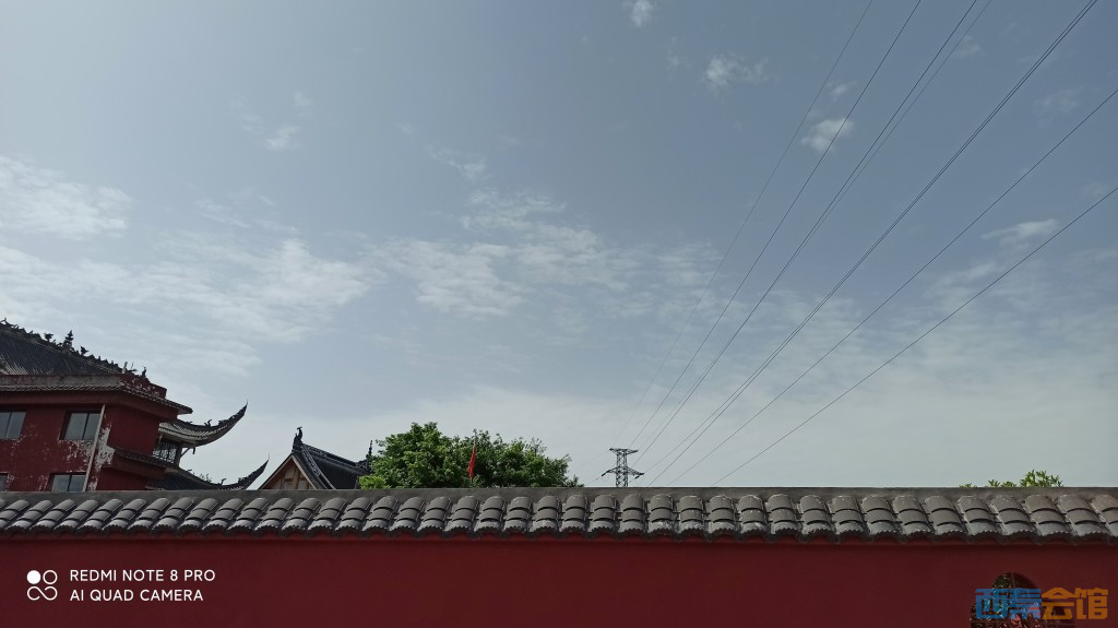 conew_1680754065740.jpg