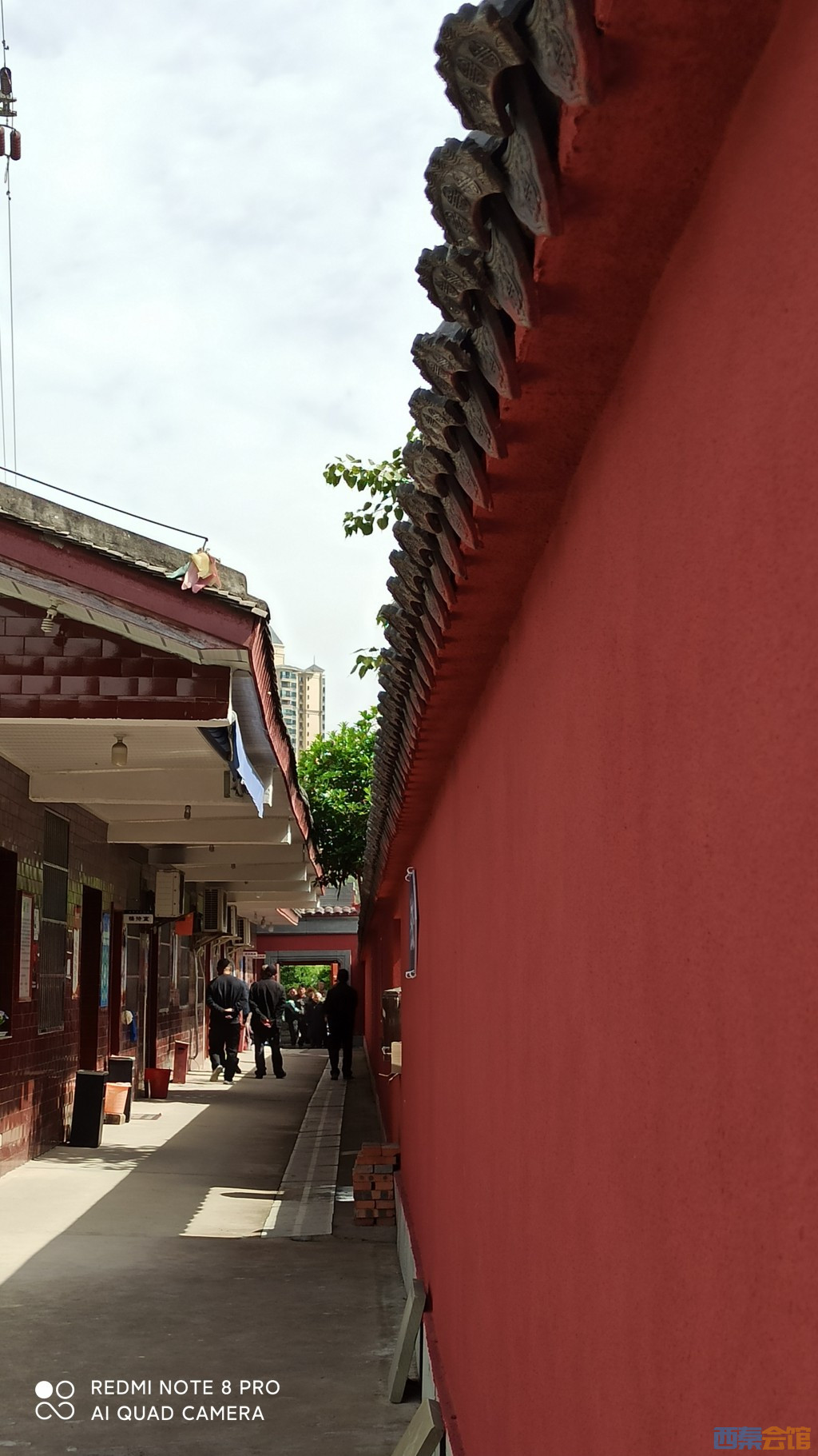 conew_1680754065962.jpg