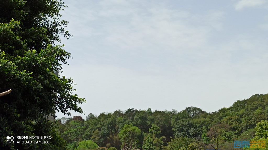 conew_1680754066236.jpg