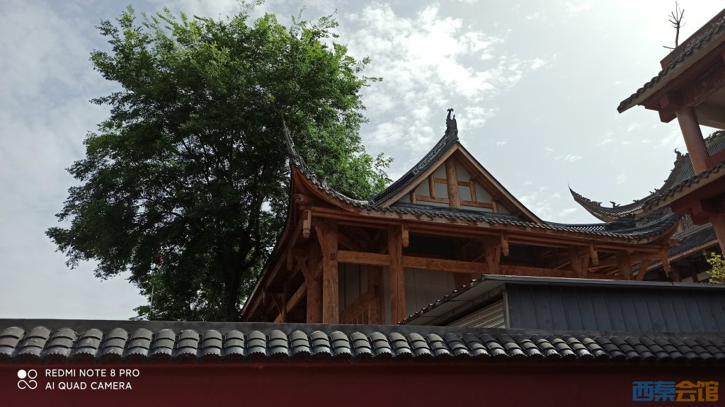 conew_1680754066158.jpg