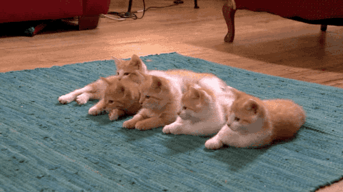 20230407143813front2_0_332895_FpOnM3Z9IK6g72mFRRvB1ao9beoS.gif