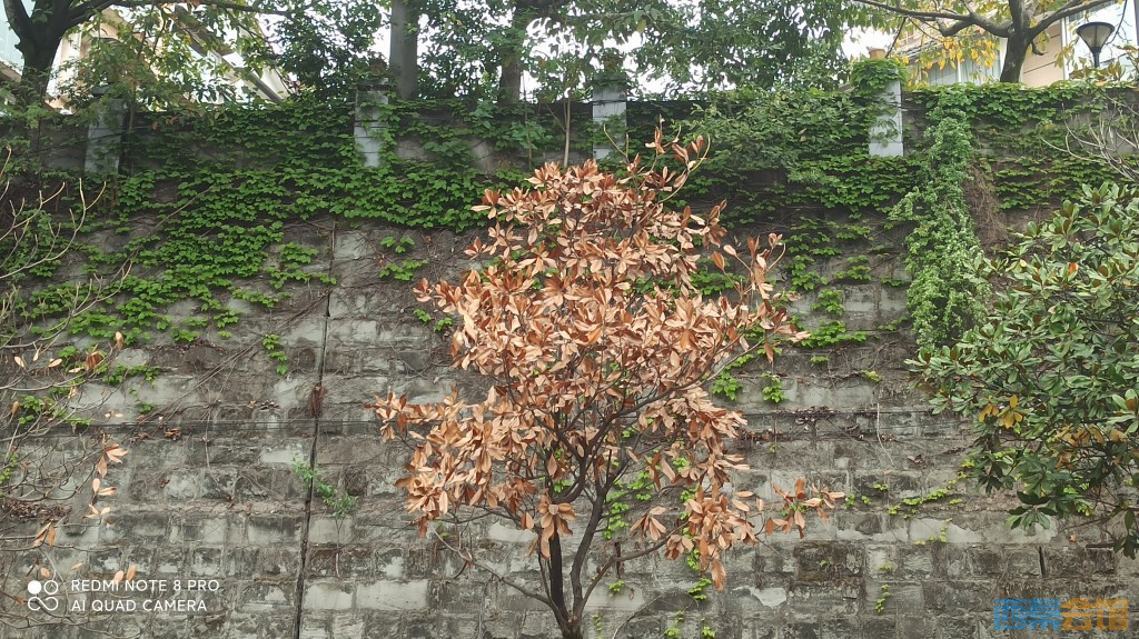 conew_1680843172084.jpg