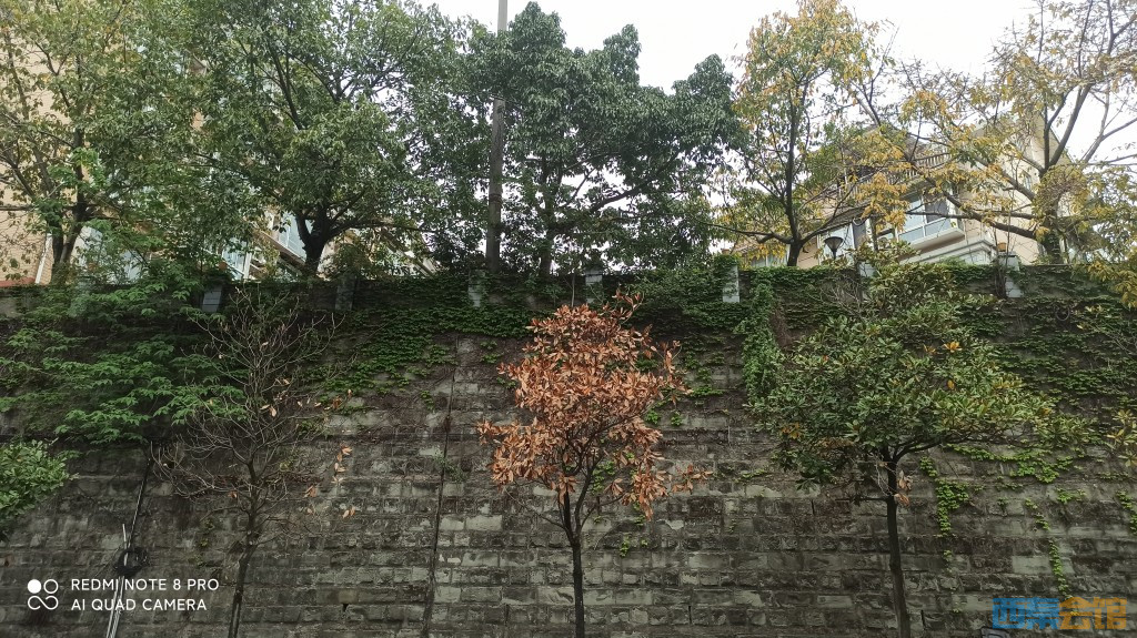 conew_1680843172094.jpg