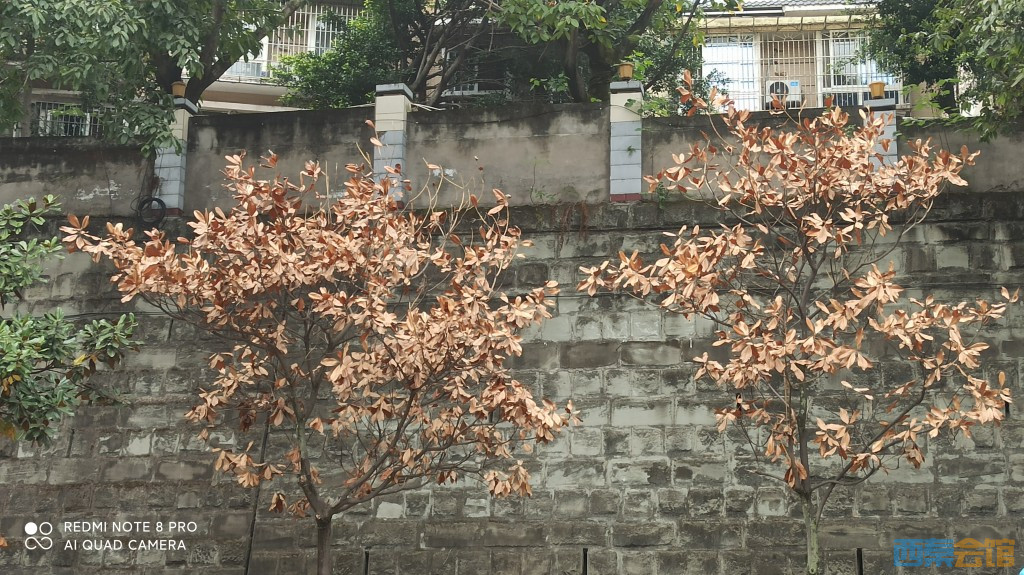 conew_1680843172209.jpg