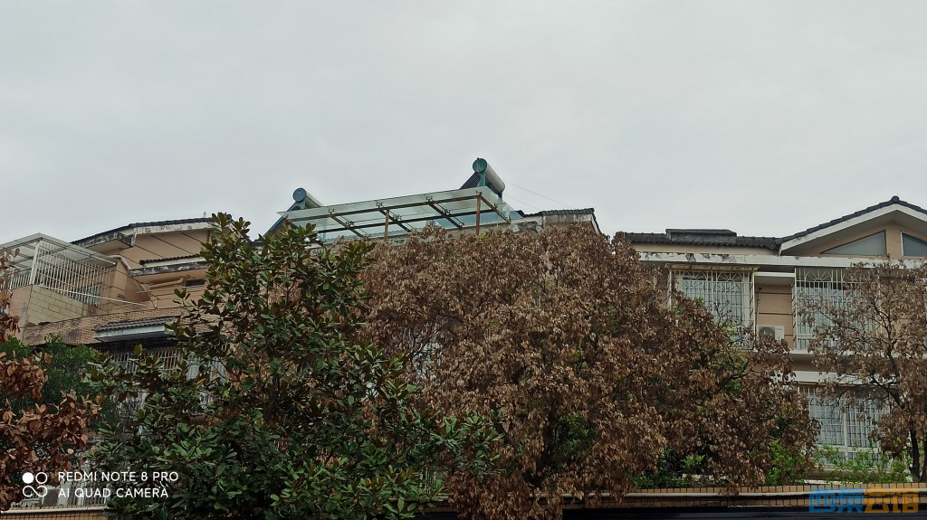 conew_1680843172406.jpg