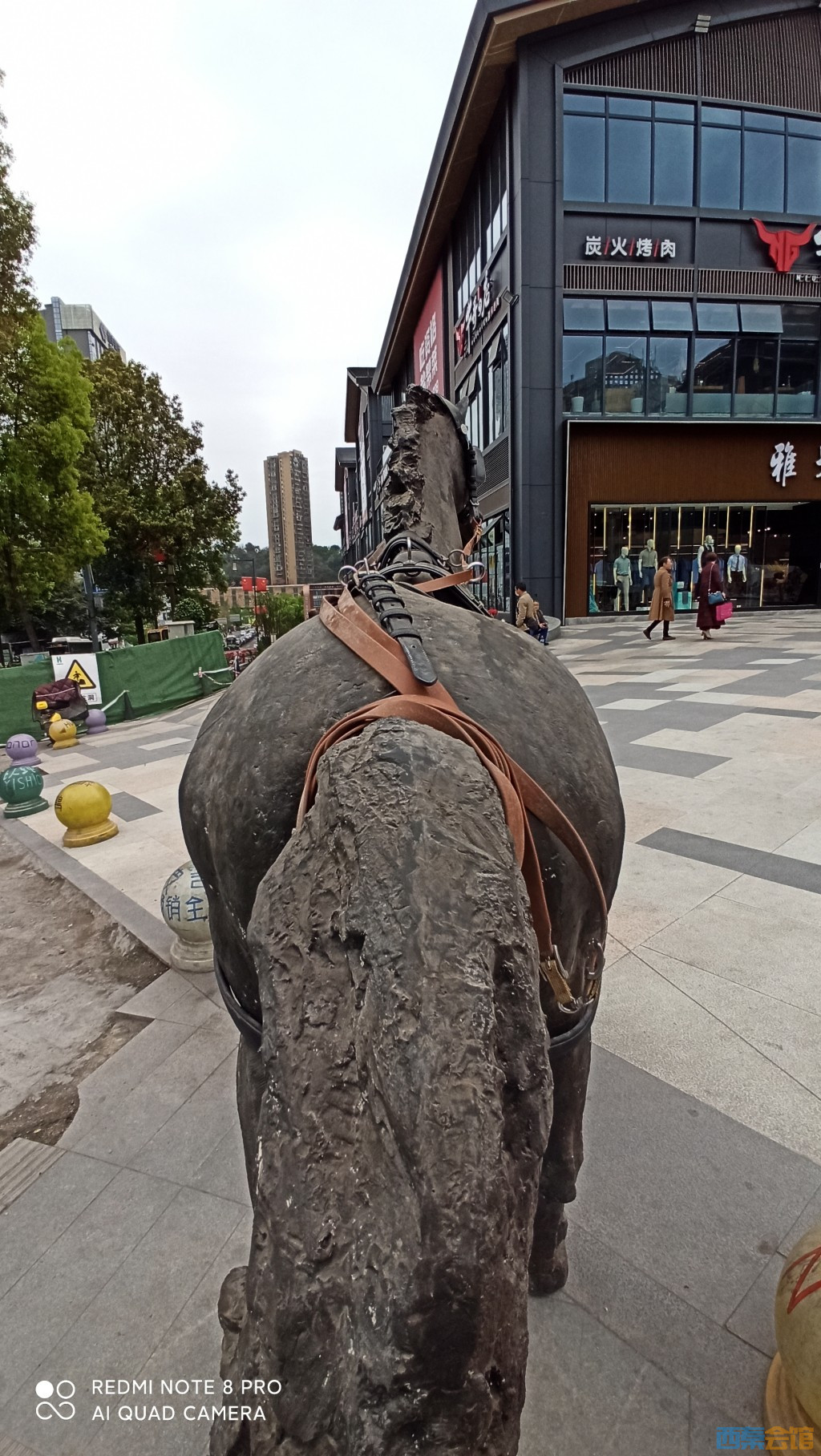 conew_1680843171134.jpg