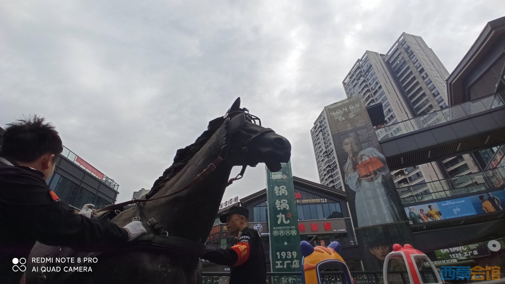 conew_1680843171041.jpg