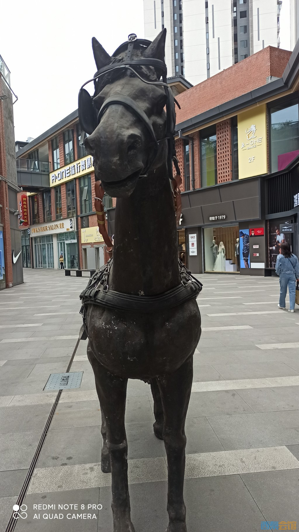 conew_1680843170916.jpg