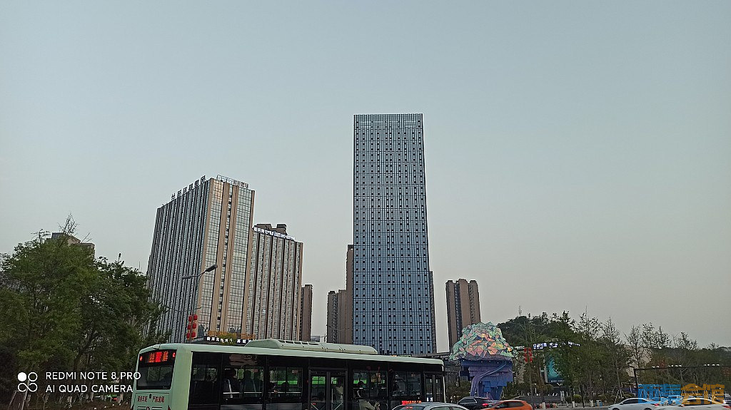 conew_1681043812704.jpg