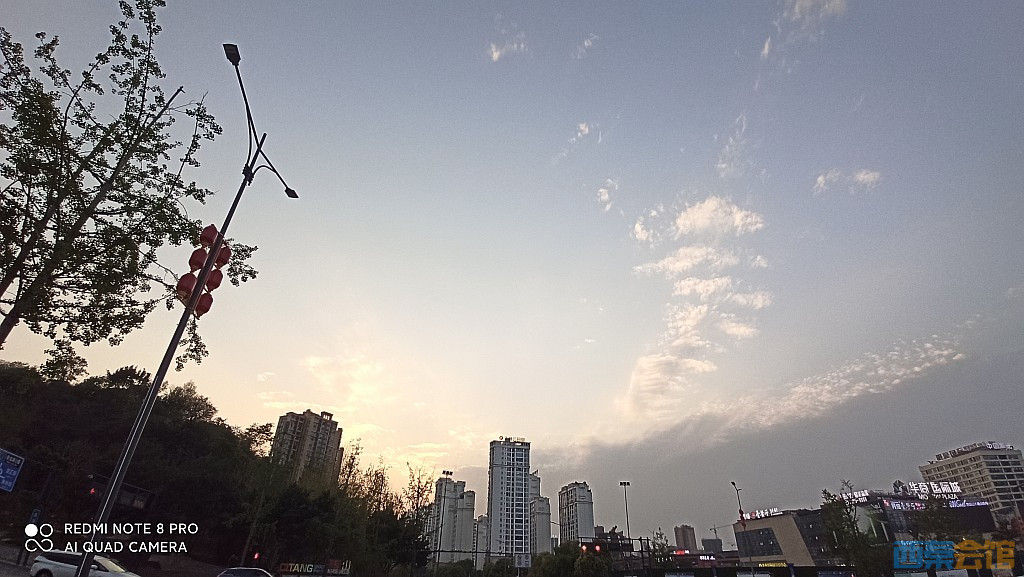 conew_1681043812818.jpg