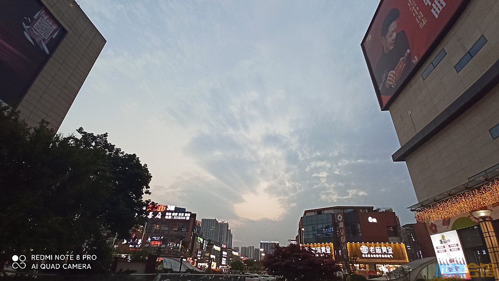 conew_1681043812419.jpg