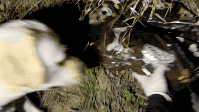 7.gif