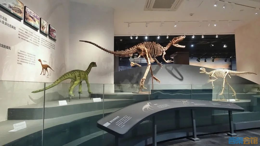 ΢��ͼƬ_20230412115240.png