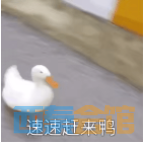 20.png