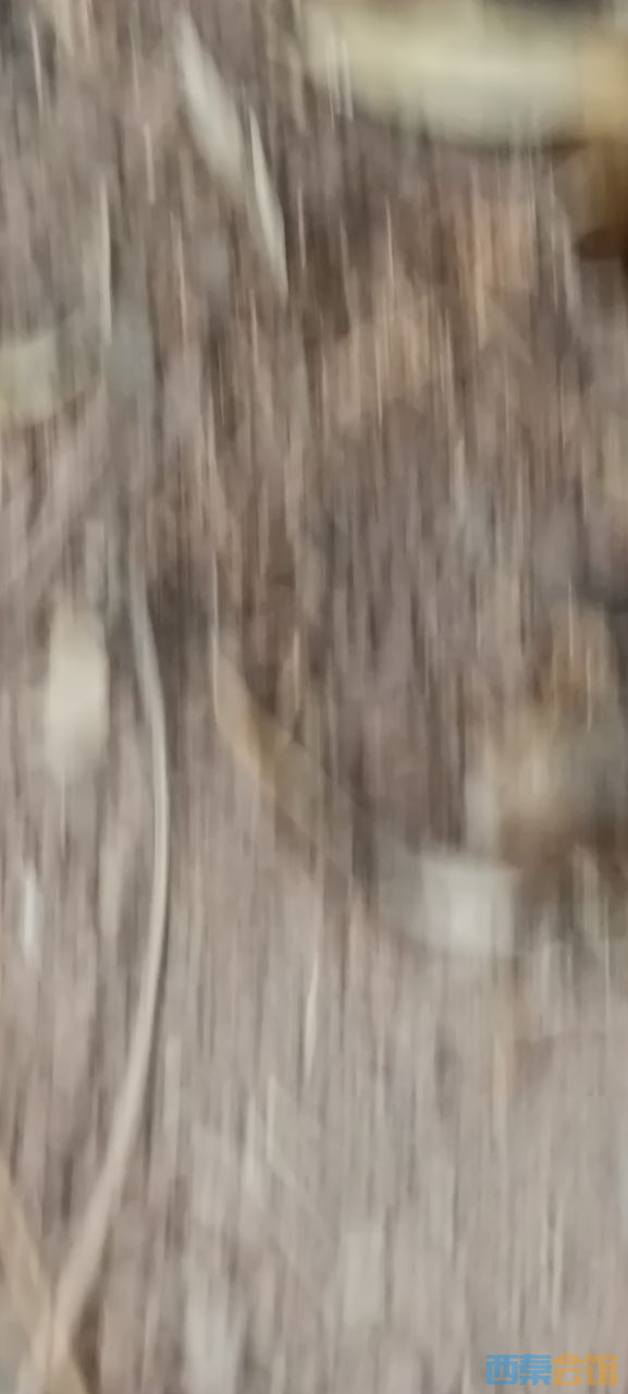 20230414104935front2_0_1741427_FoB6IOQGte3fCHRm9e3h_GlI9sZy.jpg