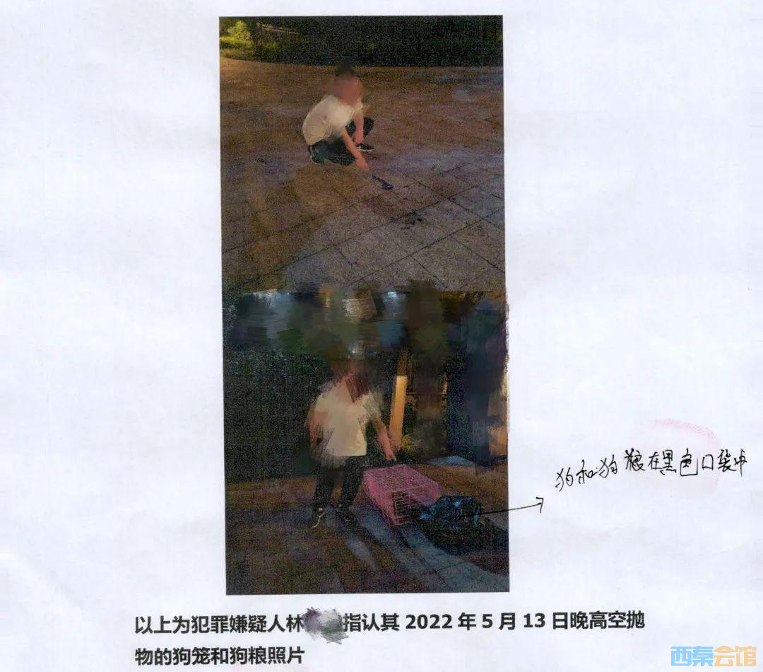 59.jpg