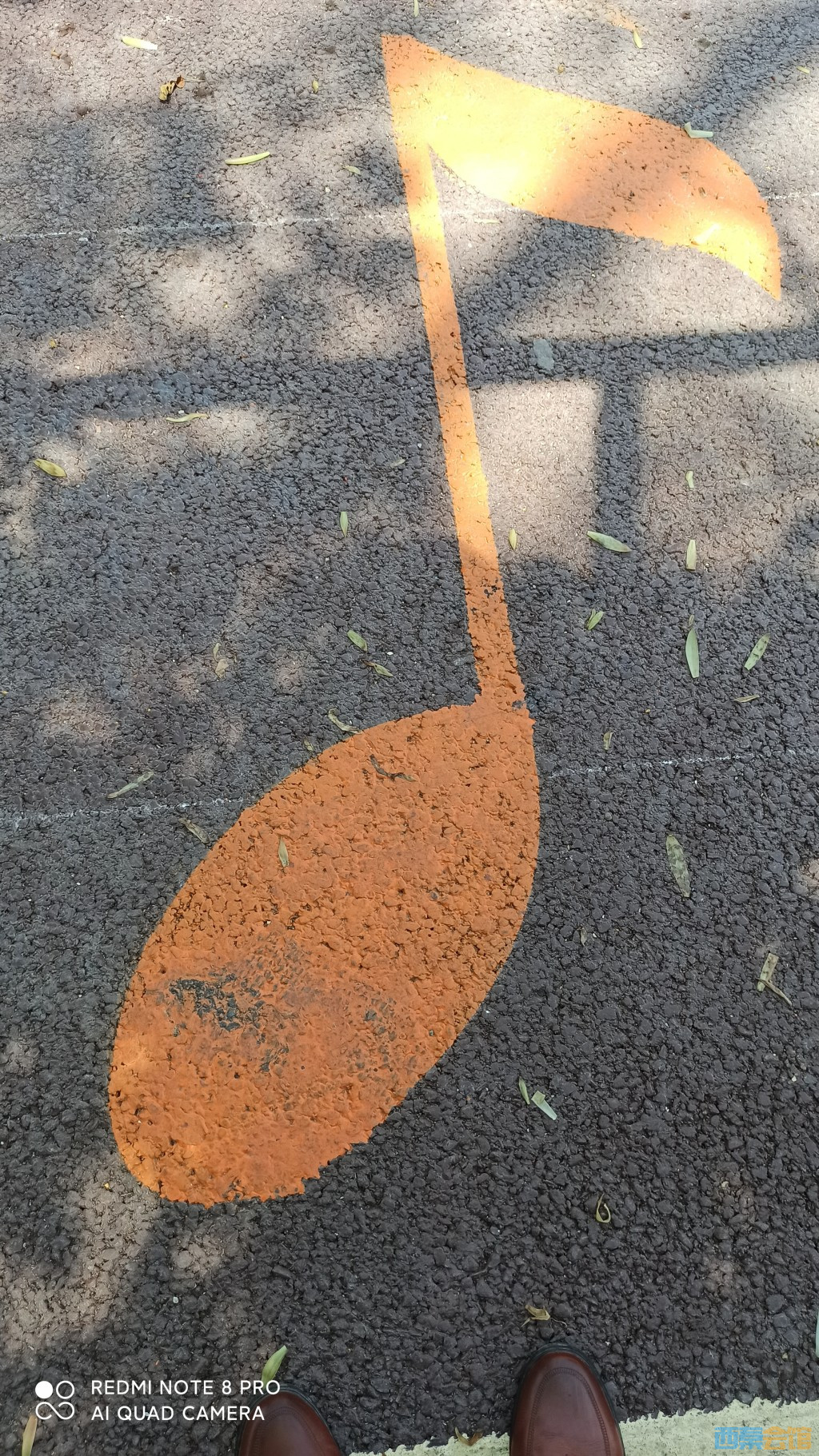conew_1681531931874.jpg