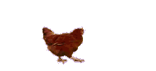 20230420115927front2_0_1568827_FqsI0y9VMlI9Ux_C_k-dPrRenTiZ.gif