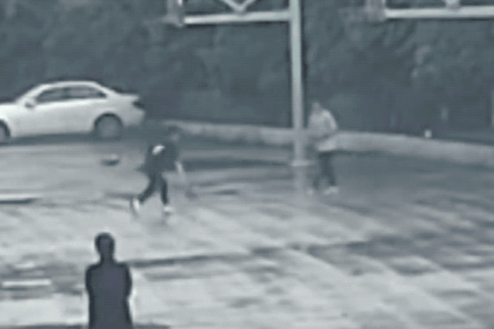 1.gif