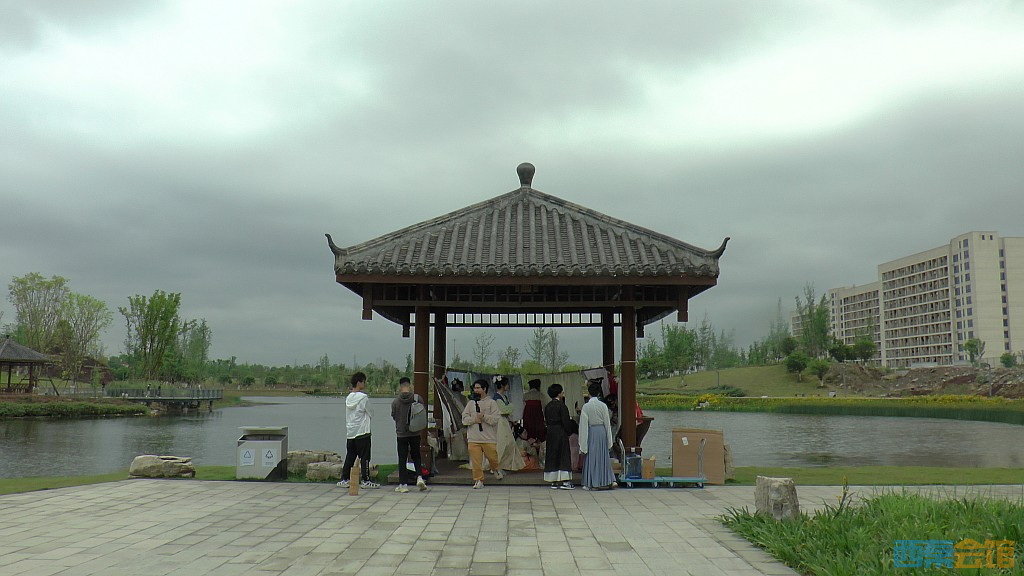 conew_s1580008.jpg