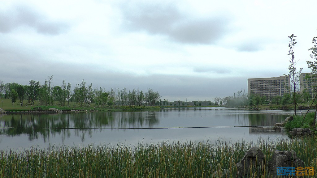 conew_s1580015.jpg