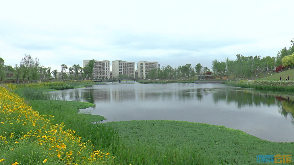 conew_s1580018.jpg