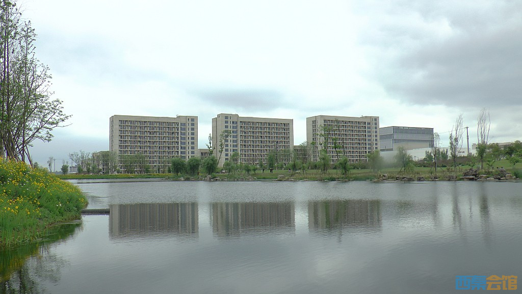 conew_s1580017.jpg