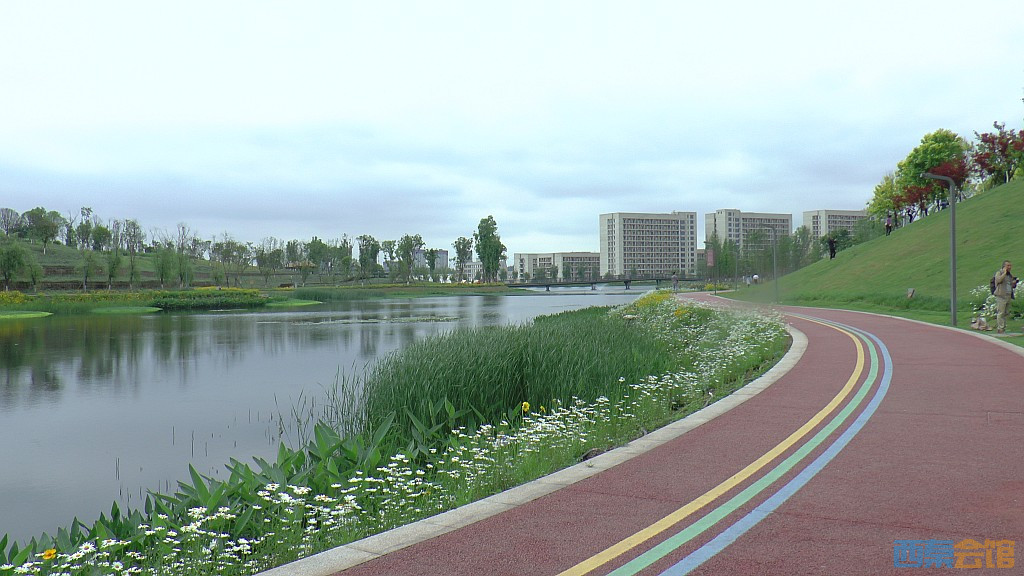 conew_s1580022.jpg