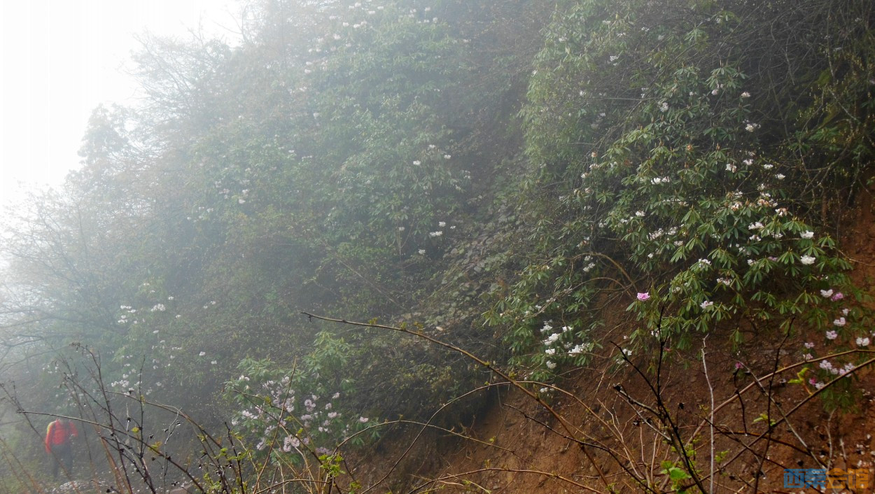 conew_dscn9689.jpg
