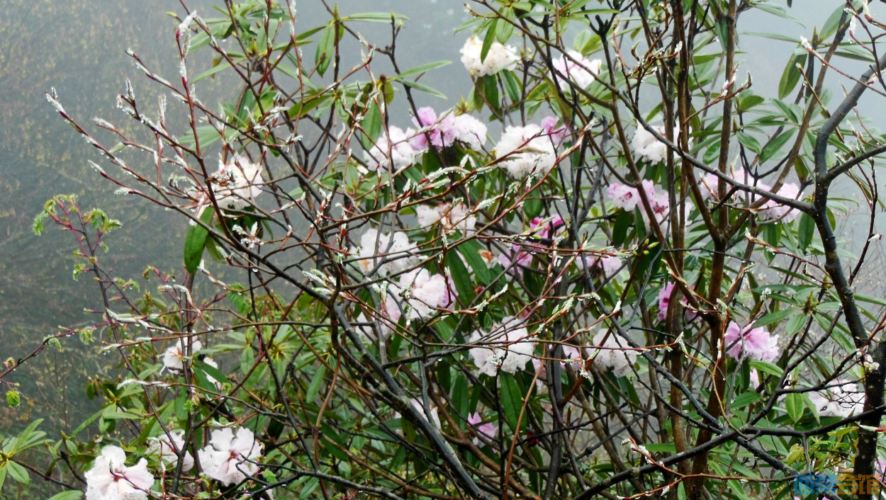 conew_dscn9698.jpg