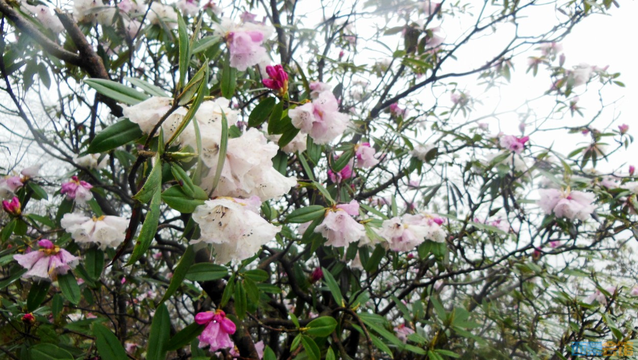 conew_dscn9713.jpg