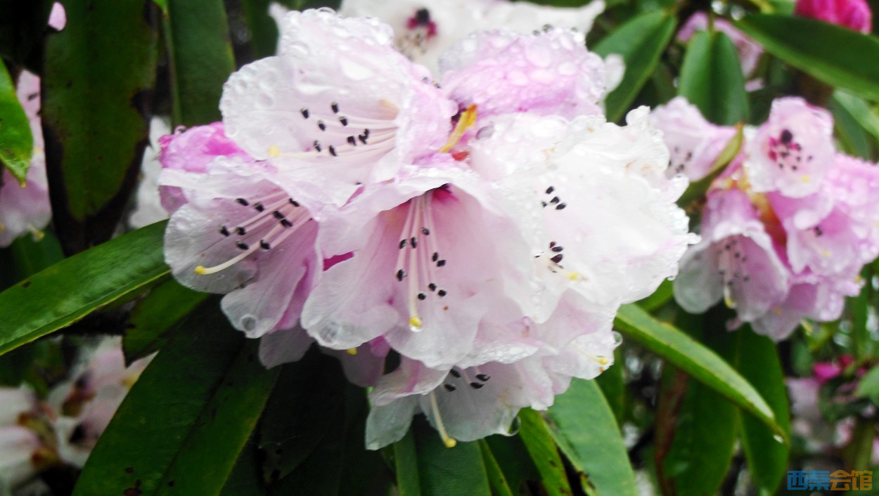 conew_dscn9727.jpg