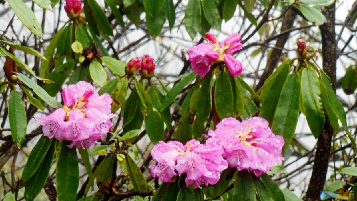 conew_dscn9726.jpg