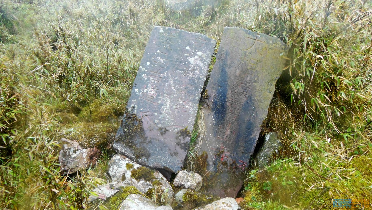 conew_dscn9740.jpg