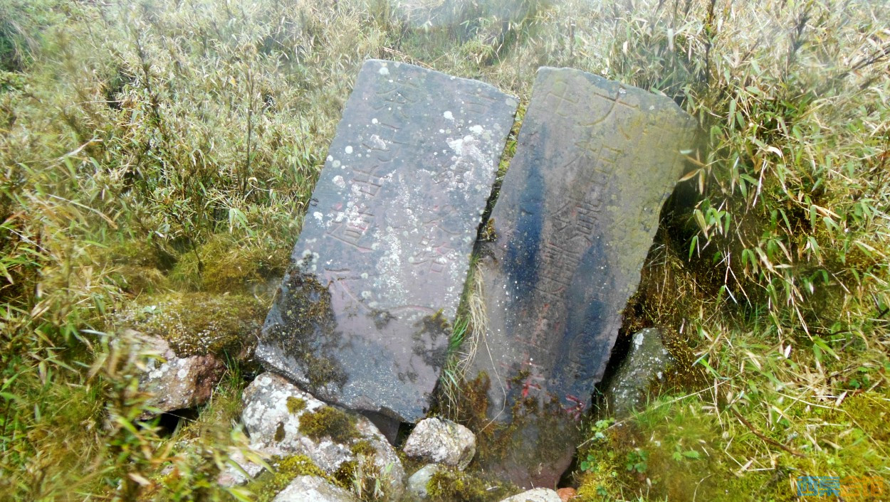 conew_dscn9739.jpg