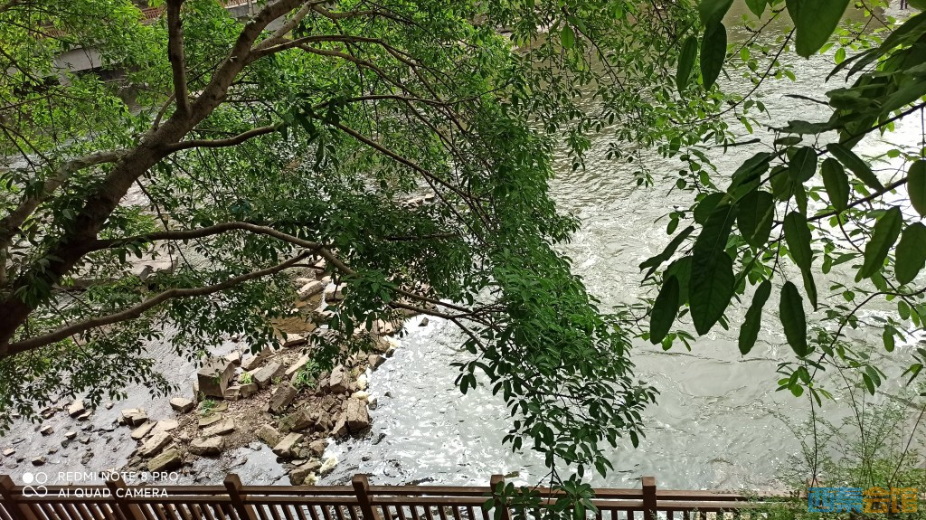 conew_1682568577972.jpg