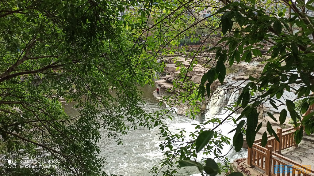 conew_1682568577949.jpg