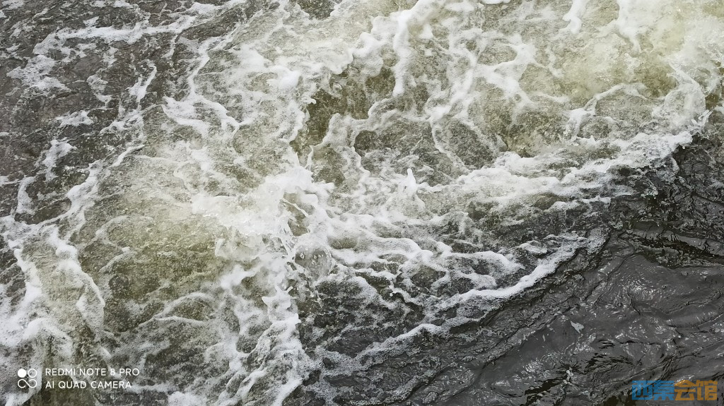 conew_1682568578995.jpg