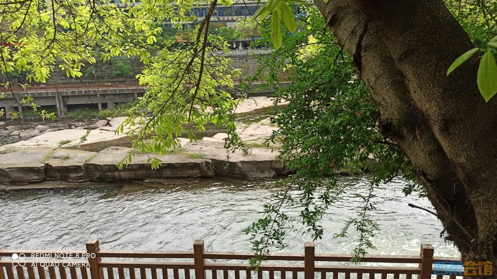 conew_1682568578883.jpg