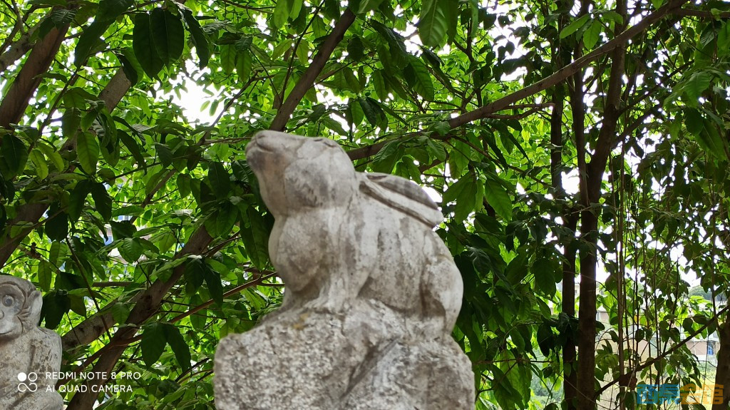 conew_1682568578715.jpg